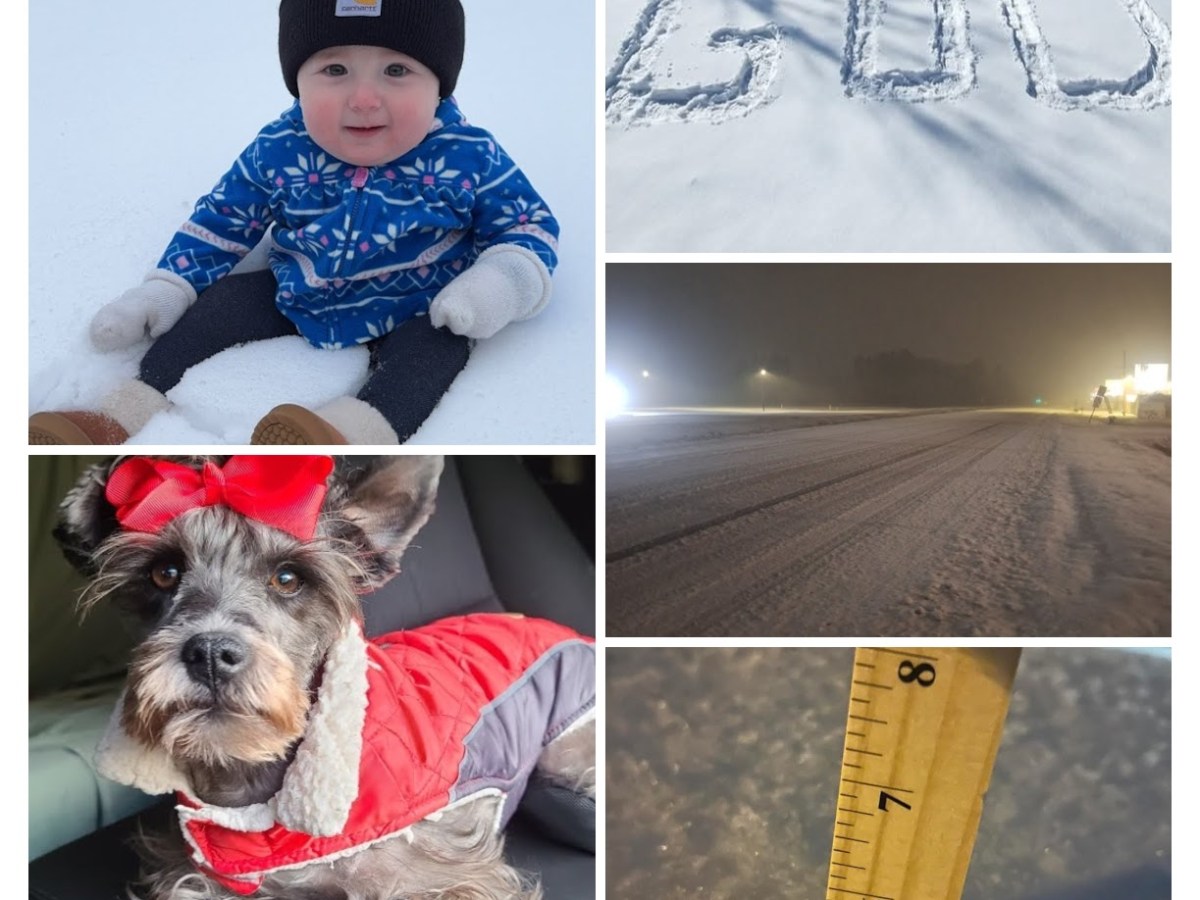 Snow Day 2025 in Pictures