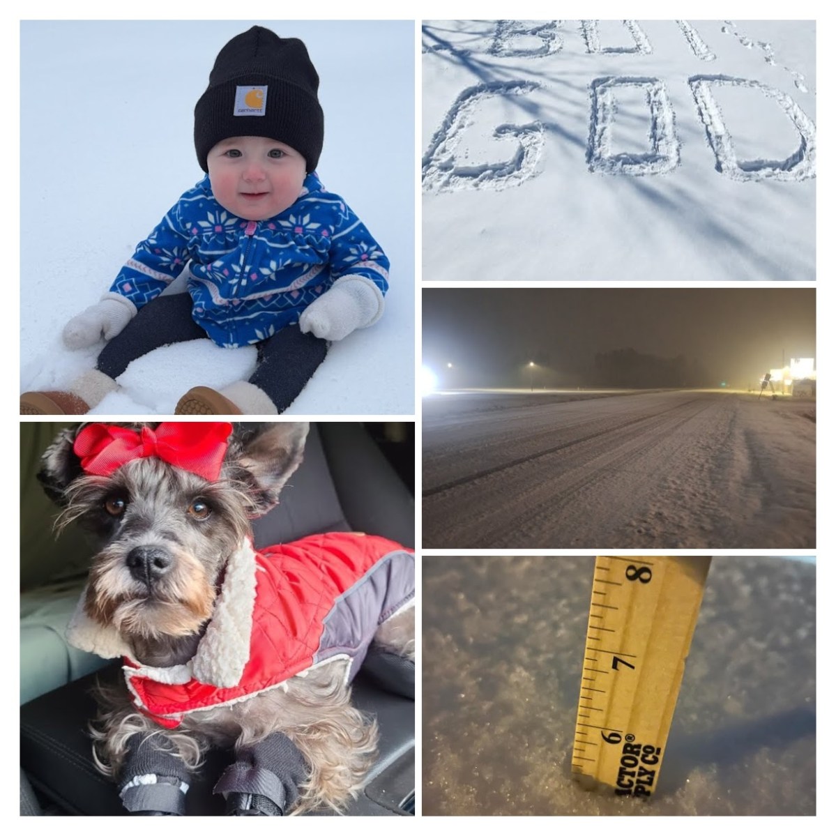 Snow Day 2025 in Pictures